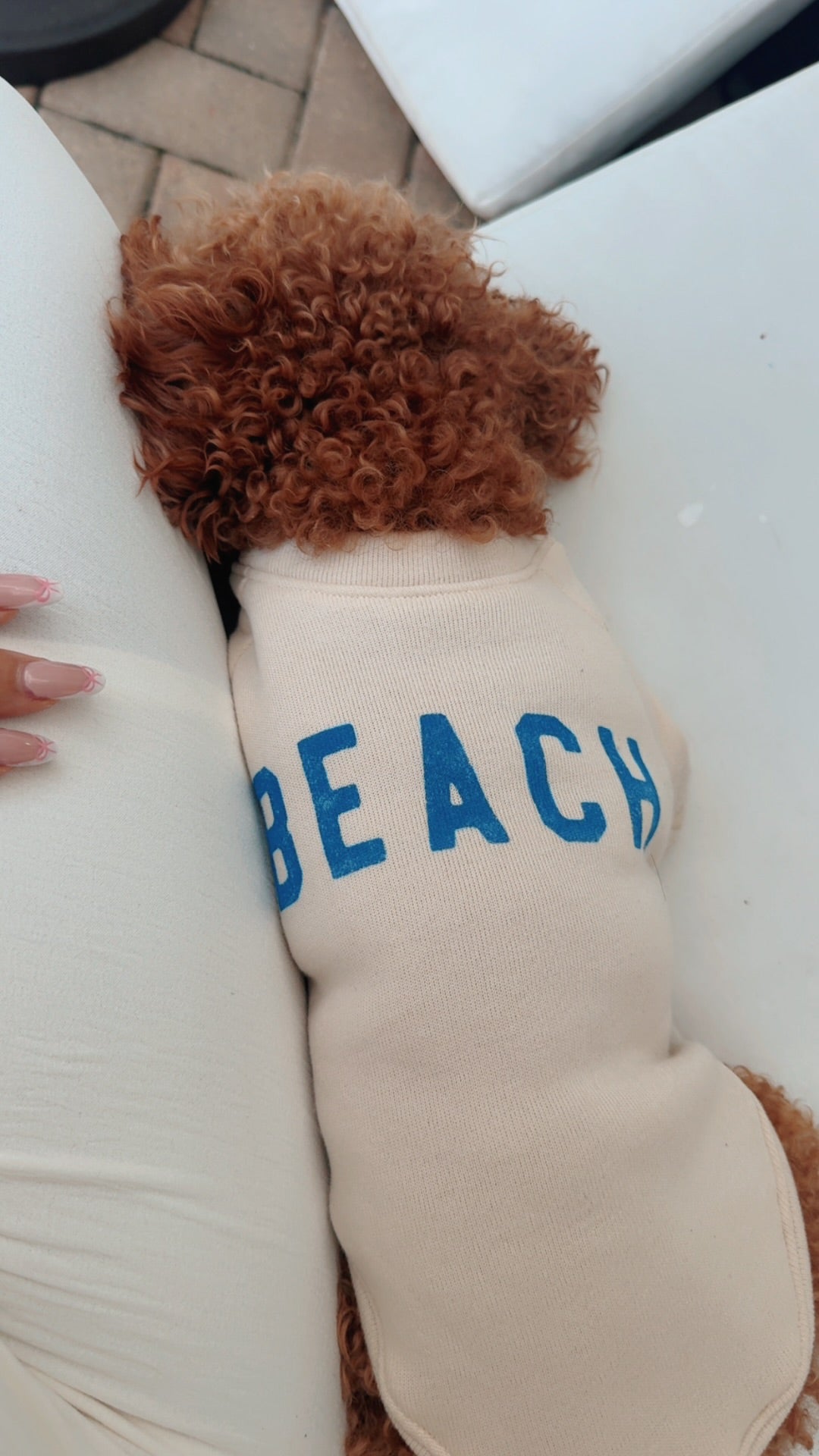 Sandy Paws Beach Pup Sweatshirt