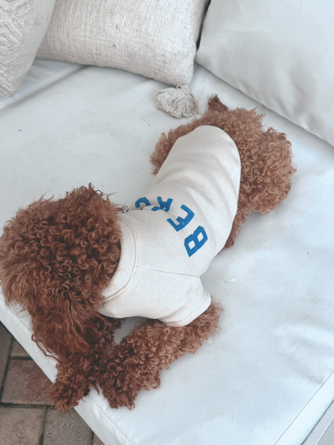 Sandy Paws Beach Pup Sweatshirt